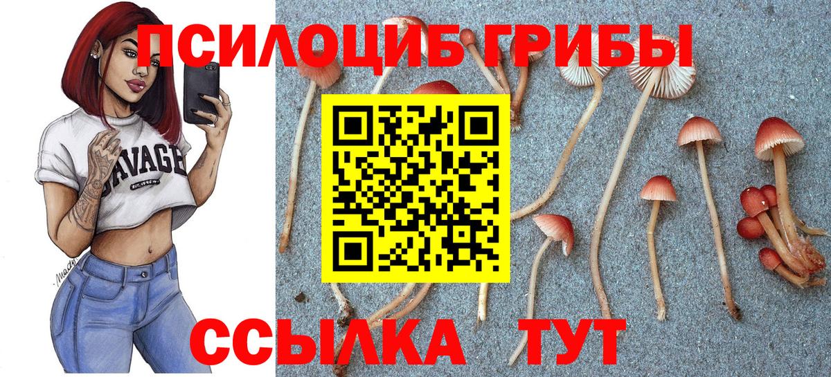 Псилоцибиновые грибы Cubensis  Вход с VPN  Галлюциногенные грибы GOLDEN TEACHER  Салехард 