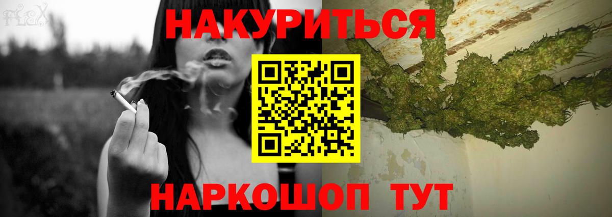 Каннабис гибрид Салехард